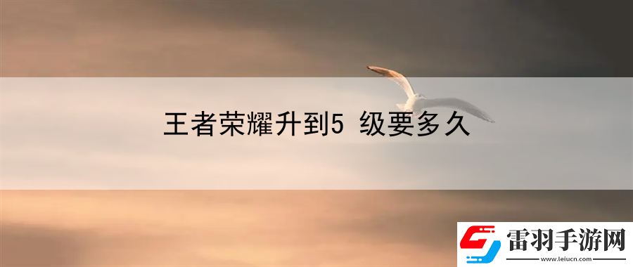 王者荣耀升到5级要多久