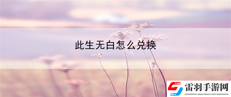 此生无白怎么兑换