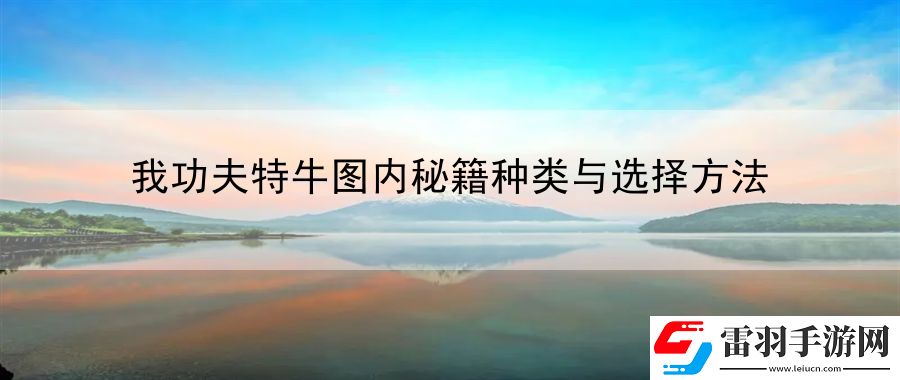 我功夫特牛图内秘籍种类与选择方法