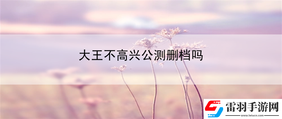 大王不高兴公测删档吗