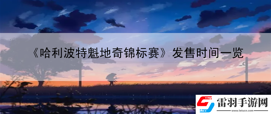 哈利波特魁地奇锦标赛发售时间一览