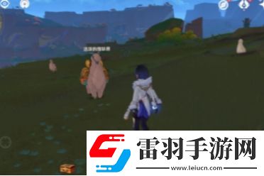 原神特殊的朋友任务怎么做