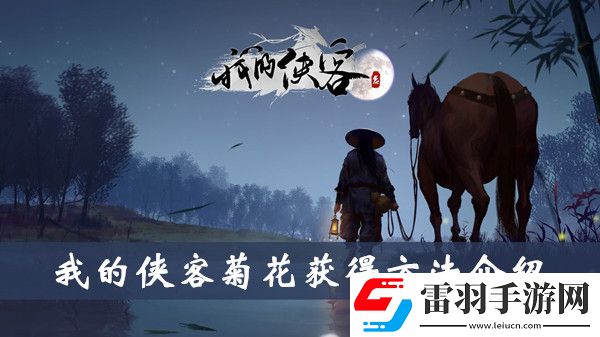 我的侠客菊花怎么获得