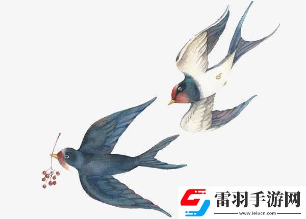 佩燕子是哪个地区人的习俗