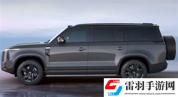 极石CEO