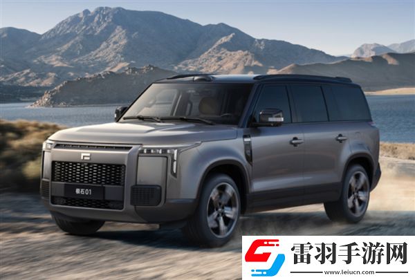 极石CEO