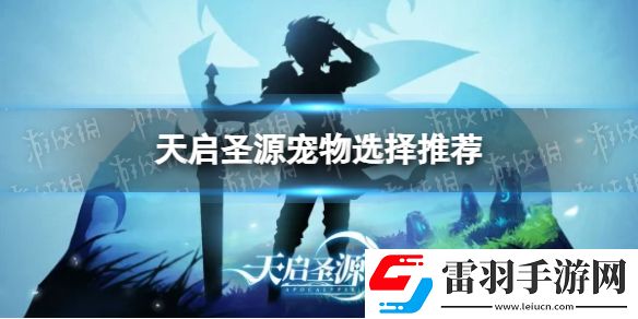天启圣源宠物怎么选