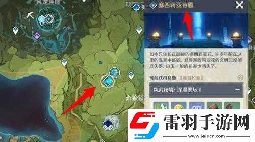 原神开启渴水的废都攻略指南
