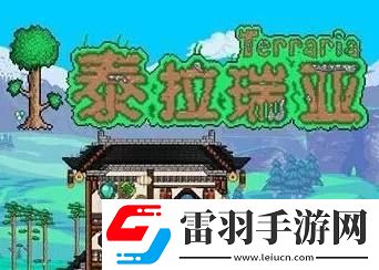 泰拉瑞亚红宝石怎么搞