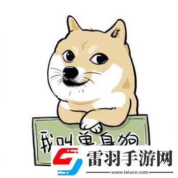 双十一单身节到了请关爱身边的单身狗