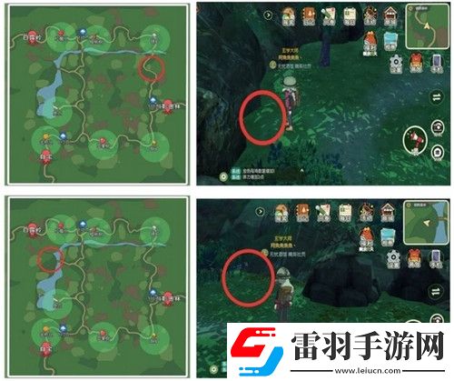 小森生活稀有甲虫怎么抓捕