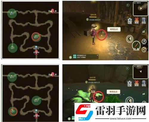 小森生活稀有甲虫怎么抓捕