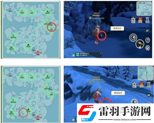 小森生活稀有甲虫怎么抓捕