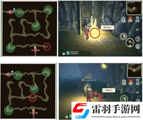 小森生活稀有甲虫怎么抓捕