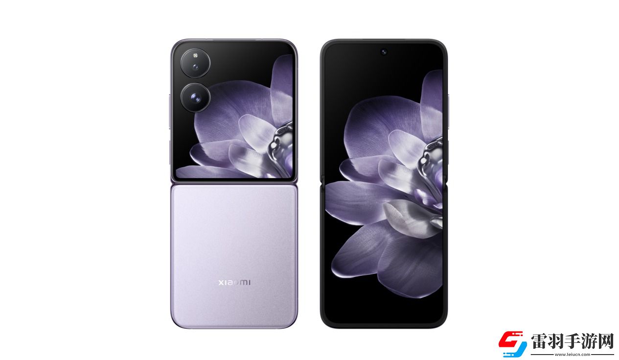 大小皆从容