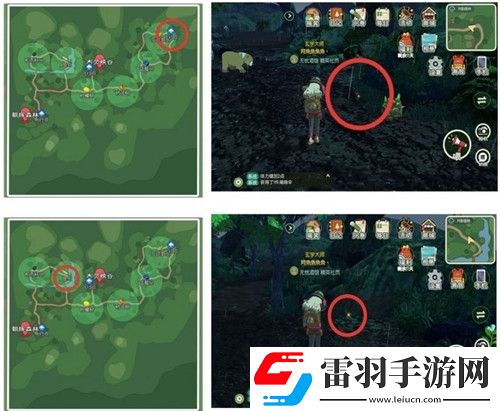 小森生活稀有甲虫怎么抓捕