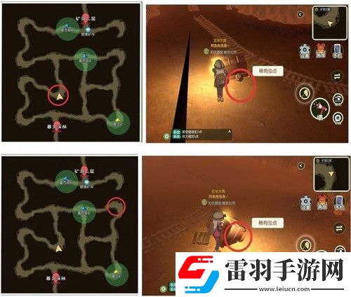 小森生活稀有甲虫怎么抓捕