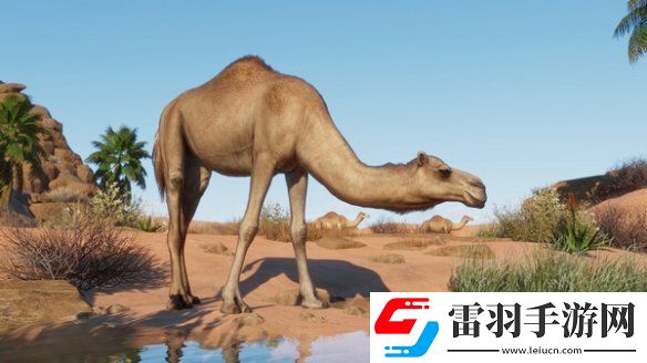 动物园之星新DLC“干旱动物”发售本体史低促销中