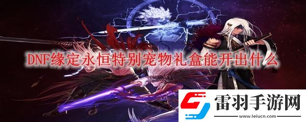 DNF缘定永恒特别宠物礼盒有什么