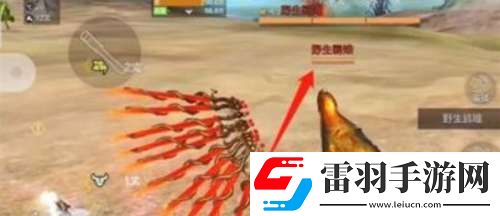 妄想山海野生鸡在哪里妄想山海野生鸡具体位置介绍