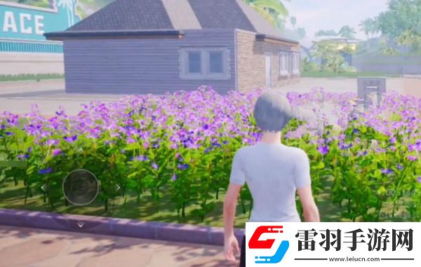 和平精英花圃种子在哪买