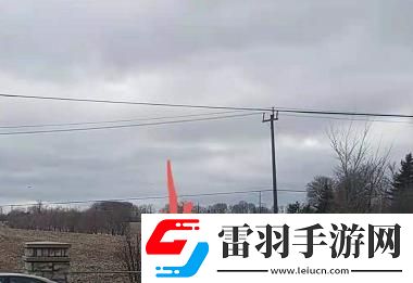 犯罪大师离奇失踪案下凶手是谁