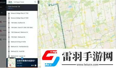犯罪大师离奇失踪案下凶手是谁