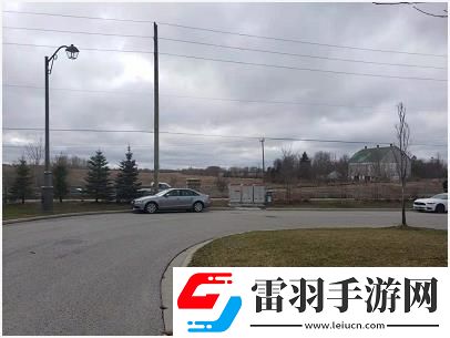 犯罪大师离奇失踪案下凶手是谁