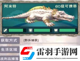 创造与魔法阿米特饲料是什么