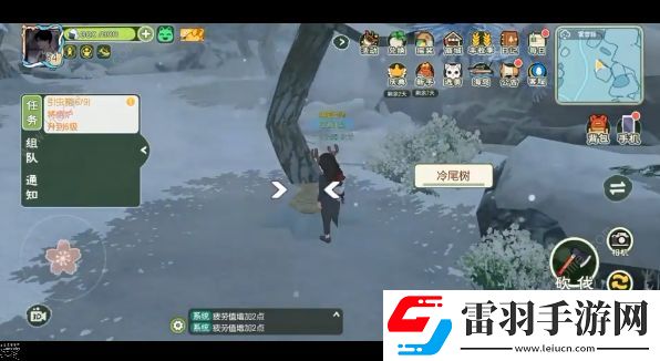 小森生活雾雪峰怎么钓鱼雾雪峰鱼类钓取时间详解
