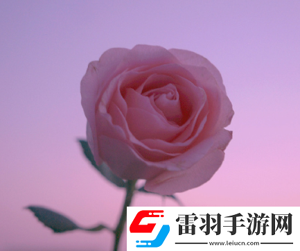 那些冷门而有韵味的签名空山无人水流花开