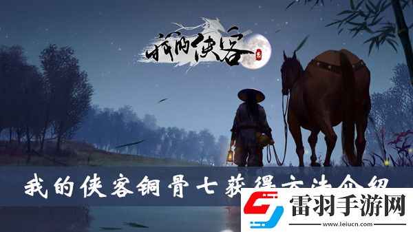 我的侠客铜骨七怎么获得