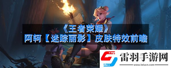 王者荣耀阿轲迷踪丽影皮肤怎么样