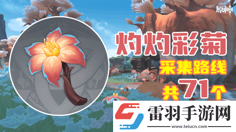 原神灼灼彩菊位置在哪里原神灼灼彩菊采集点采集路线详解