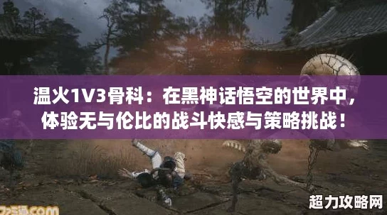 温火1V3骨科