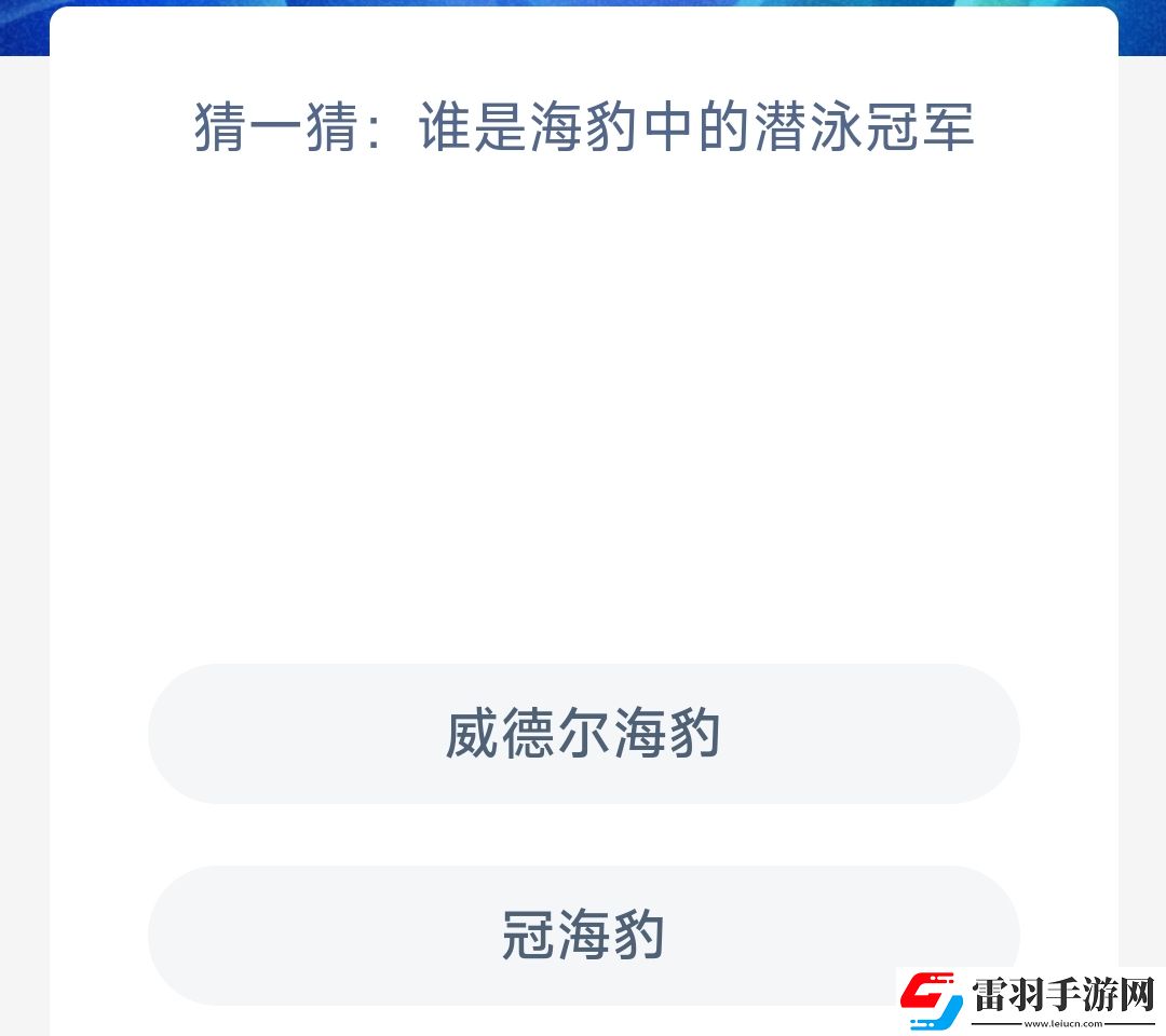猜一猜谁是海豹中的潜泳冠军
