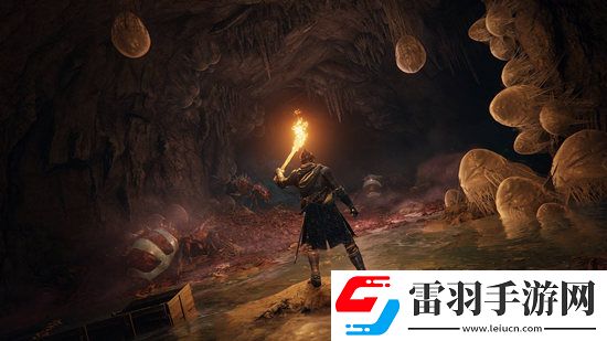 艾尔登法环地图打开攻略