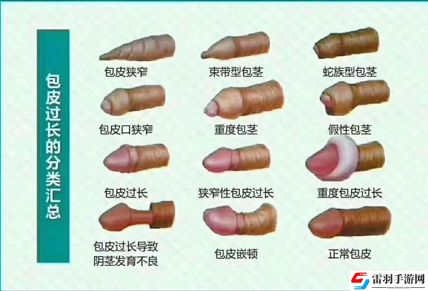 25岁后的‘小鸟放飞’