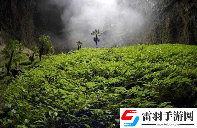 仙踪林