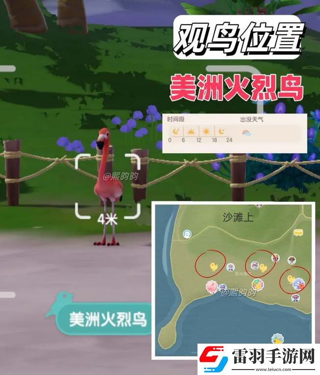 心动小镇观鸟9级具体位置攻略