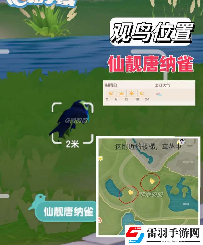 心动小镇观鸟9级具体位置攻略