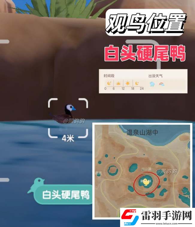 心动小镇观鸟9级具体位置攻略
