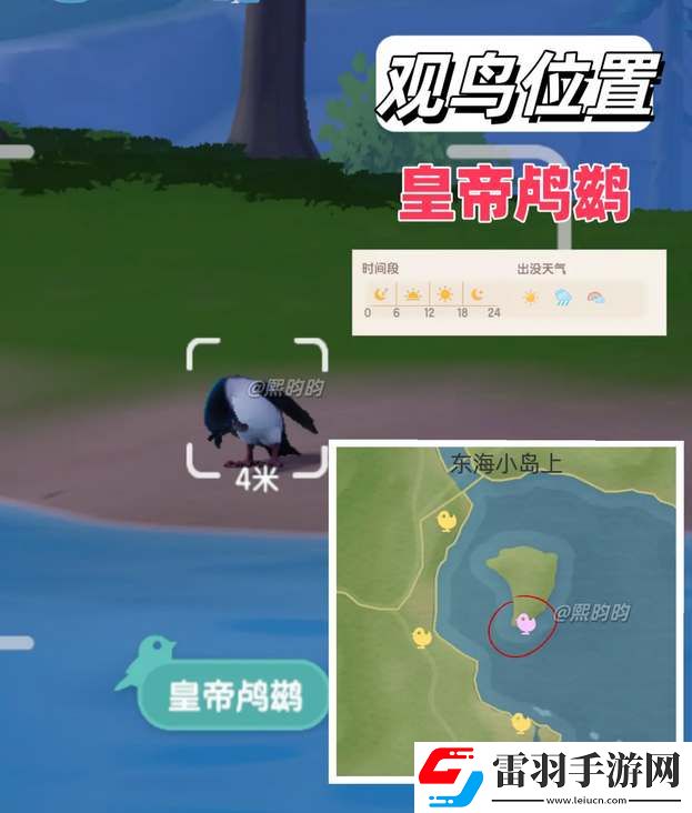 心动小镇观鸟9级具体位置攻略