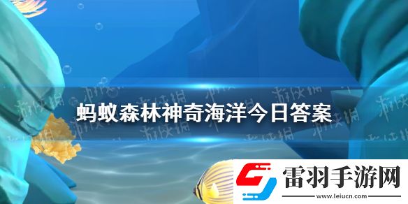 豪猪鱼是什么东西蚂蚁森林神奇海洋今日答案1.12最新