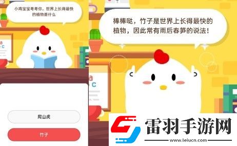 蚂蚁庄园2020年5月26日答案蚂蚁庄园小课堂今日答案更新汇总5.26