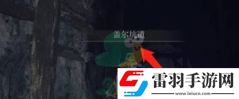 艾尔登法环名刀月影怎么才能获得呢