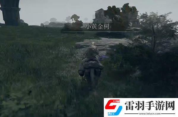 艾尔登法环日蚀纹熨斗形盾在哪里怎么获得