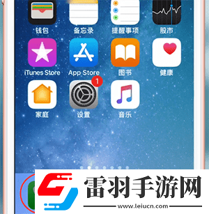 苹果手机怎么看本机号码