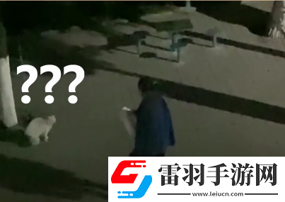 抖音做一只有礼貌的猫什么意思