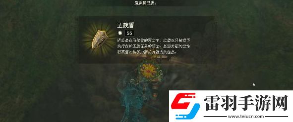 塞尔达传说王国之泪族之盾怎么获得